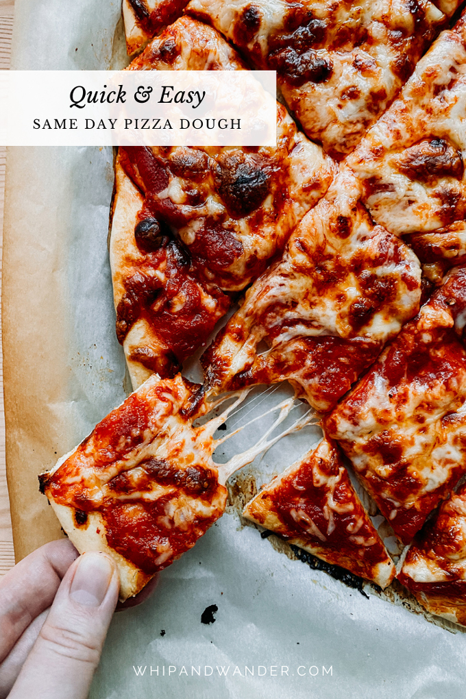 Slice of Pizza: A Bite of Bliss in Every Slice