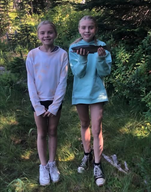Urgent Search for Missing Twin Sisters in Boundary County, Idaho: Community Help Needed