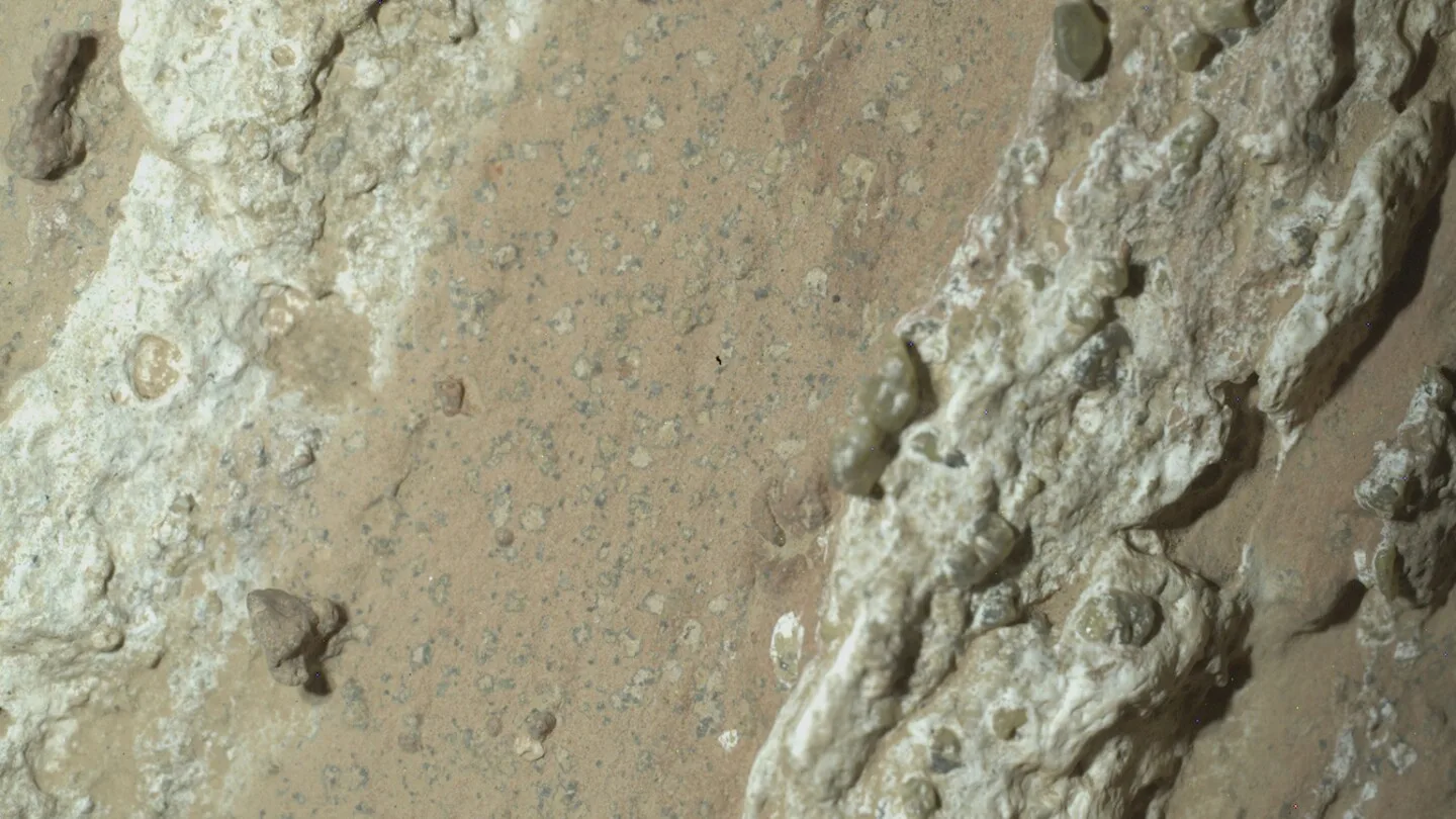 NASA’s Perseverance Rover Finds Rocks That Could Hold Evidence of Ancient Life on Mars