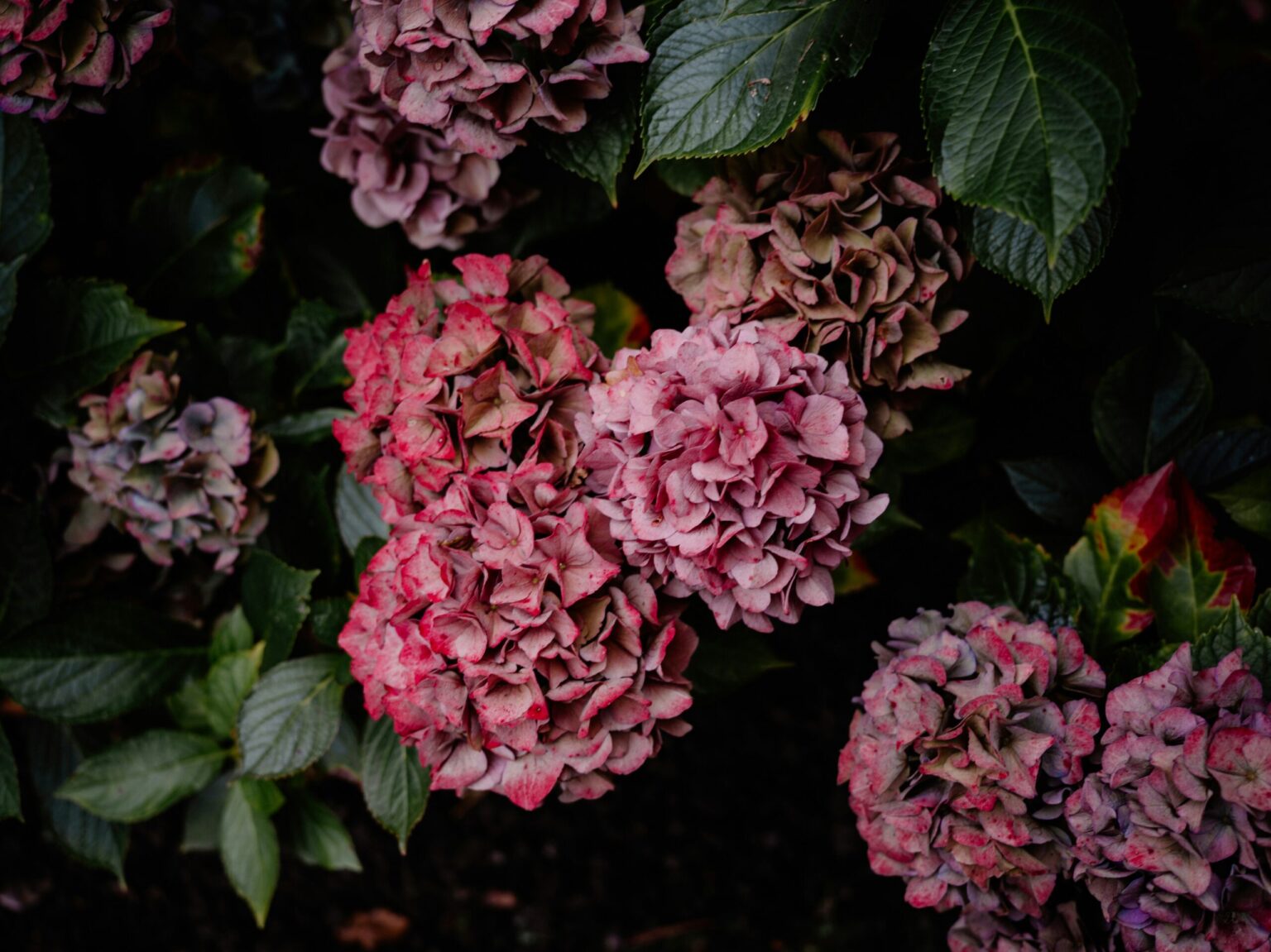 Heather Murphy Pennsylvania Obituary: Honoring a Beloved Resident