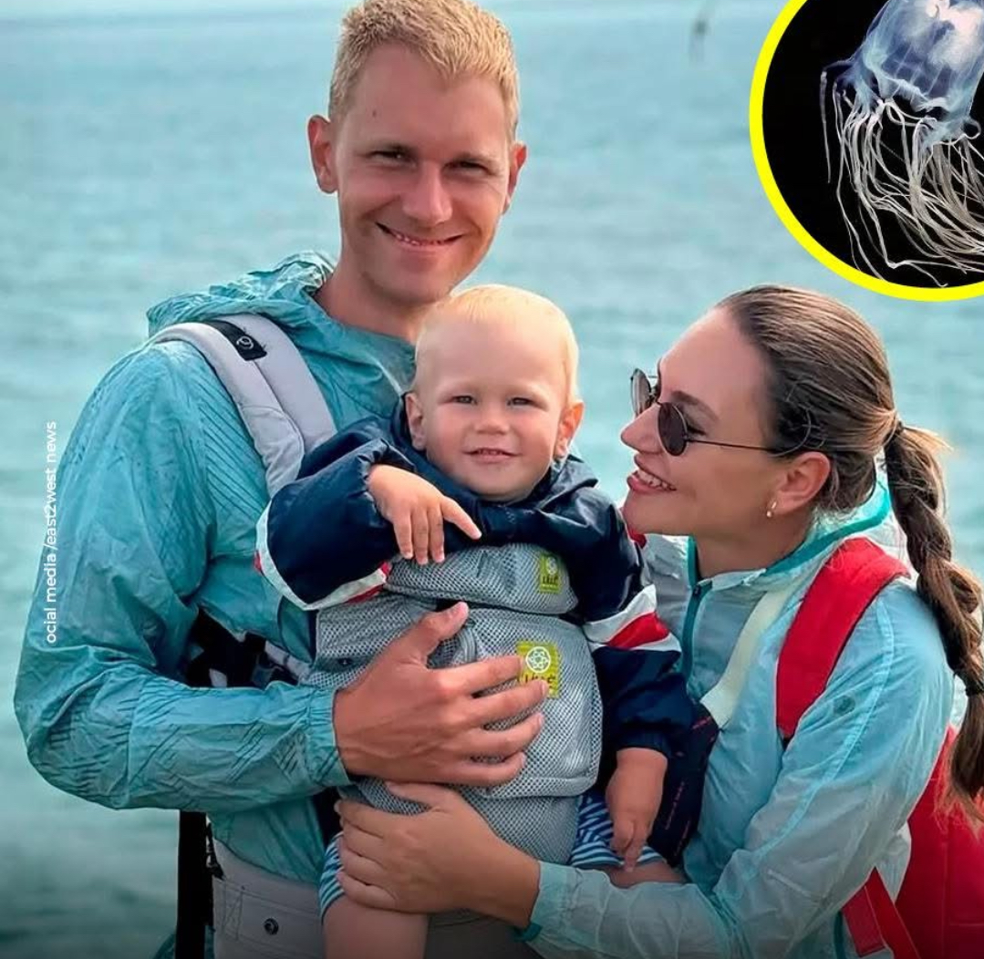 Russian Family Mourns Tragic Loss of 2-Year-Old Son to Box Jellyfish Sting in Malaysia
